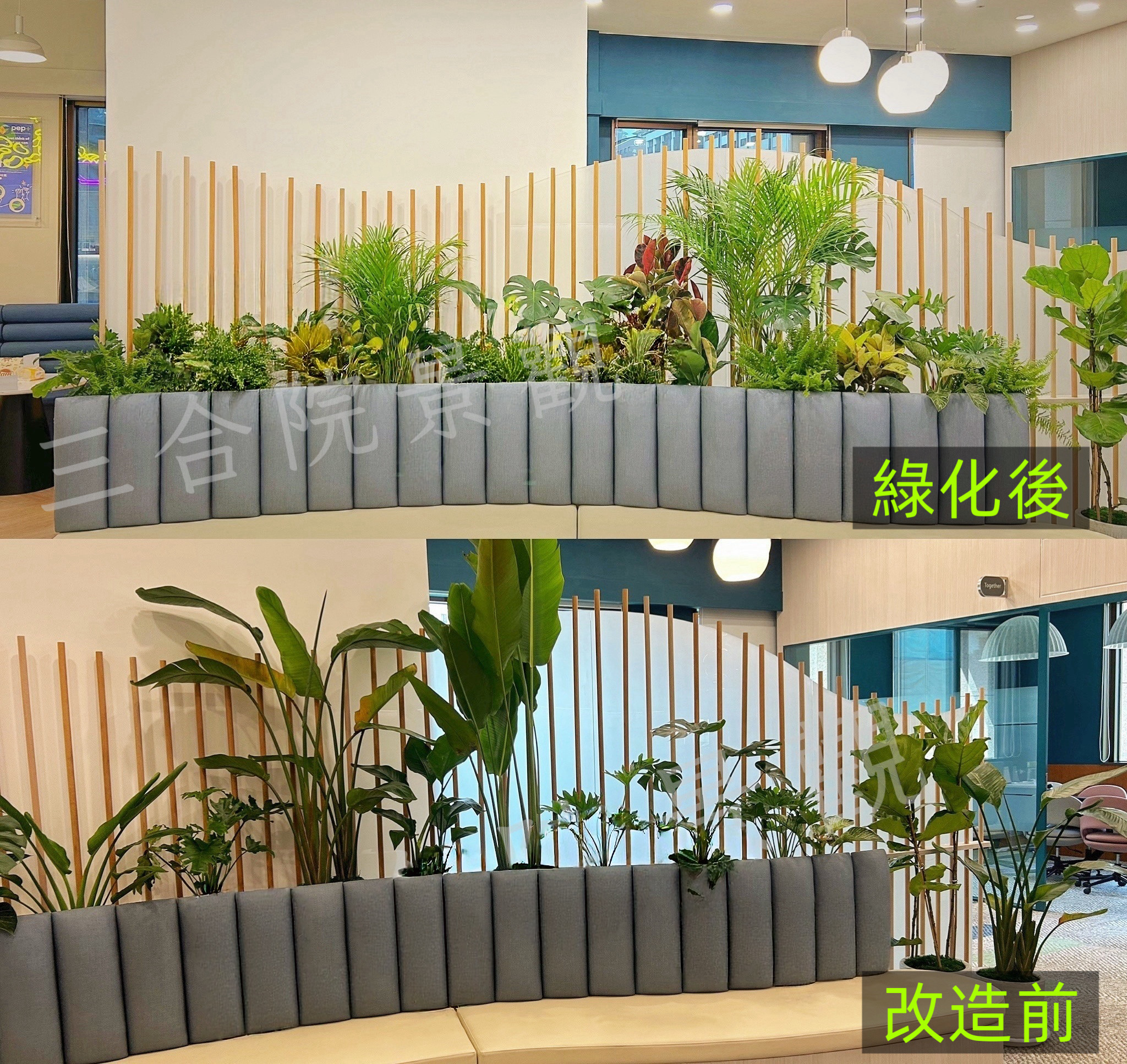 2025年4月 美商 辦公室綠化 中山區
